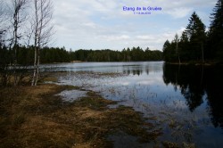 Etang de la Gruère - 7.04.2010